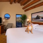 Hoteles Pet Friendly en Santa Fé
