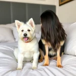 Hoteles Pet Friendly en Temixco