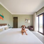 Hoteles Pet Friendly en Tepic