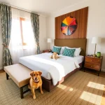 Hoteles Pet Friendly en Tetecalita