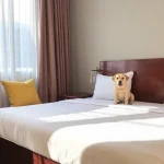 Hoteles Pet Friendly en Tlaquiltenango