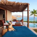 Hoteles Pet Friendly en Topolobampo