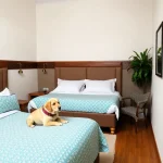 Hoteles Pet Friendly en Valenciana