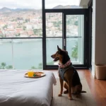Hoteles Pet Friendly en Vicente Guerrero