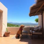 Hoteles Pet Friendly en Yautepec de Zaragoza