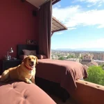 zacatecas-zac