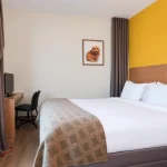 Hoteles Pet Friendly en Zaragoza