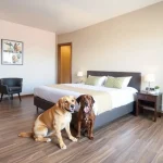 Hoteles Pet Friendly en Ziracuaretiro