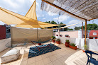 Hoteles pet friendly Casa Hidalgo En El Corazón De Coyoacán. en Coyoacán en Ciudad de México