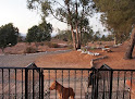 Hoteles pet friendly Casa Mayoral en Villa de Juárez en B.C.