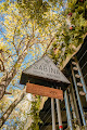 Hoteles pet friendly Casa Sabina Hostal Boutique en Guadalajara en Jalisco