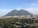 Hoteles pet friendly Holiday Inn Parque Fundidora en Monterrey en Nuevo León