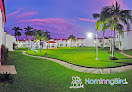 Hoteles pet friendly Hominngbird en Acapulco de Juárez en Guerrero