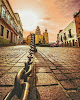 Hoteles pet friendly Hostal Casa Frida en Guanajuato en Guanajuato