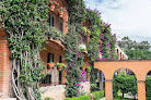 Hoteles pet friendly Hotel Chocolate en Guanajuato en Guanajuato