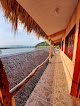 Hoteles pet friendly Hotel Coconuts en Puerto Vicente Guerrero en Guerrero