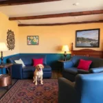 Hotel Del RÍo Inn - Hotel Pet Friendly en San Luis Potosí
