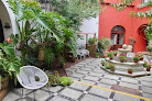 Hoteles pet friendly Hotel Trébol en Oaxaca de Juárez en Oaxaca