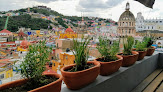 Hoteles pet friendly Katrin Poshtel en Guanajuato en Guanajuato