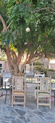 Hoteles pet friendly Palapa 206 Motel Rv Park en Ciudad Constitución en B.C.S.