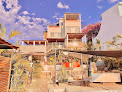 Hoteles pet friendly Perro Surfero Hotel Boutique en Todos Santos en Baja California Sur
