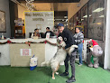 Hoteles pet friendly The Royal Petshotel en Monterrey en Nuevo León