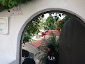 Hoteles pet friendly Turquesa House + Boutique en Cuernavaca en Morelos