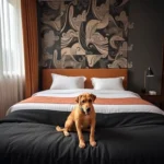 Hoteles Pet Friendly en Altamira, Tamps.