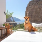 Hoteles Pet Friendly en Aquiles Serdán, Tamps.
