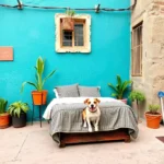 Hoteles Pet Friendly en Barrio de Jalatlaco, Oaxaca