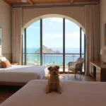 cabo-san-lucas