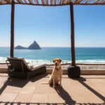 Hoteles Pet Friendly en Cabo San Lucas, B.C.S.