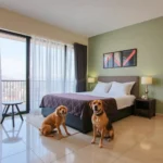 Hoteles Pet Friendly en Cadereyta Jiménez, Nuevo León