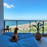 Hoteles Pet Friendly en Cd Madero, Tamps.