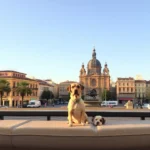 Hoteles Pet Friendly en Ciudad Constitución, Ciudad Constitución
