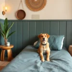 Hoteles Pet Friendly en El Porvenir, B.C.