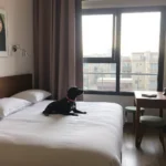 Hoteles Pet Friendly en Heroica Puebla de Zaragoza, Puebla