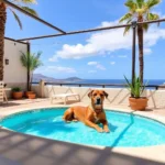Hoteles Pet Friendly en Loma de la Rosa, Michoacán