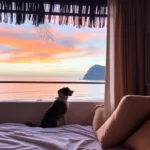 Hoteles Pet Friendly en Loreto, B.C.S.