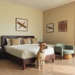 Hoteles Pet Friendly en Reynosa, Tamps.