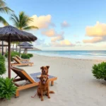 Hoteles Pet Friendly en San Andrés Playa Encantada, Guerrero