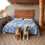 Arenas Del Mar - Hotel Pet Friendly en Cd Madero