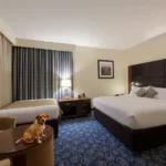 Best Western Global Express - Hotel Pet Friendly en Veracruz