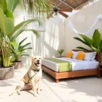 Boaboa Bacalar Hotel - Hotel Pet Friendly en Bacalar