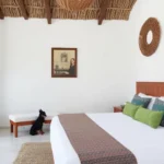 Brida Tlayacapan Hotel Boutique - Hotel Pet Friendly en Tlayacapan
