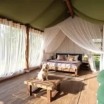 Cabañas Del Bosque - Hotel Pet Friendly en San Miguel Regla