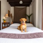 Casa 14 - Hotel Pet Friendly en Guanajuato