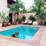 Casa Ángeles De Paxtitlán - Hotel Pet Friendly en Guanajuato