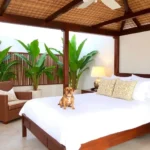 Casa Lecanda Boutique Hotel - Hotel Pet Friendly en Mérida
