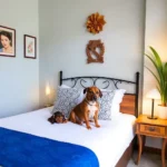 Casa Sabina Hostal Boutique - Hotel Pet Friendly en Guadalajara